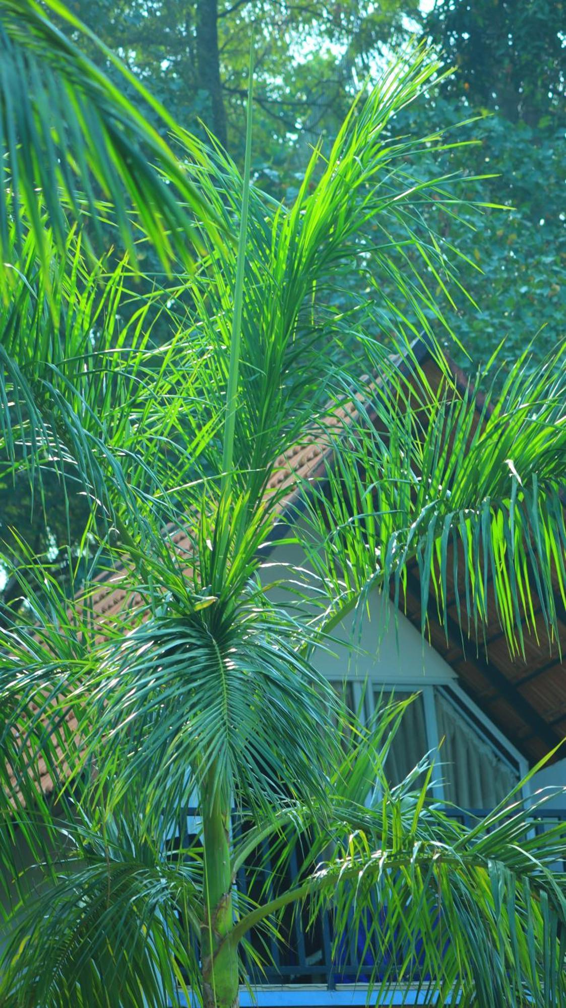 Ripples Service Villas Kollam Εξωτερικό φωτογραφία